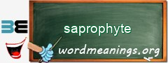 WordMeaning blackboard for saprophyte